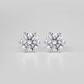 Classic Silver Earrings with Crystal
